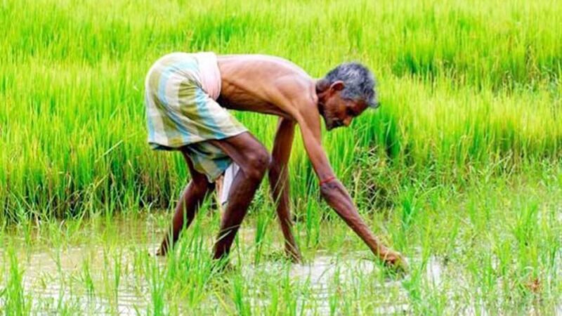 नए साल से पहले योगी सरकार का किसान भाइयों को तोहफा! 6% ब्याज पर लोन का ऐलान