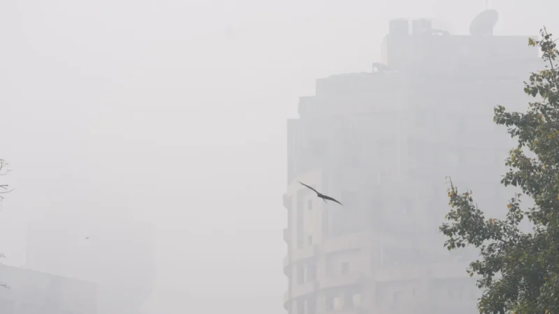दिल्ली और यूपी में घने कोहरे का अलर्ट, पहाड़ी राज्यों में बारिश/बर्फबारी के आसार, मध्य भारत में जारी रहेगी शीतलहर