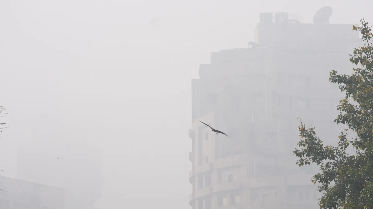 दिल्ली और यूपी में घने कोहरे का अलर्ट, पहाड़ी राज्यों में बारिश/बर्फबारी के आसार, मध्य भारत में जारी रहेगी शीतलहर