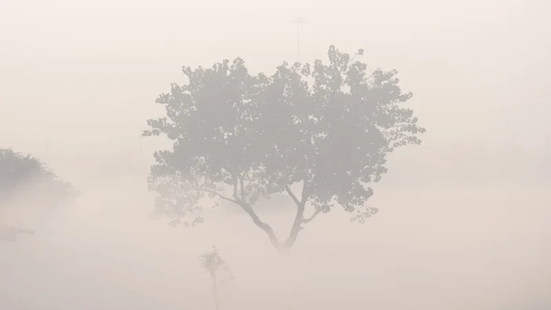 म्यूजिक सिस्टम बंद रखें, गाड़ी धीरे चलाएं; कोहरे में ड्राइविंग को लेकर एडवाइजरी जारी