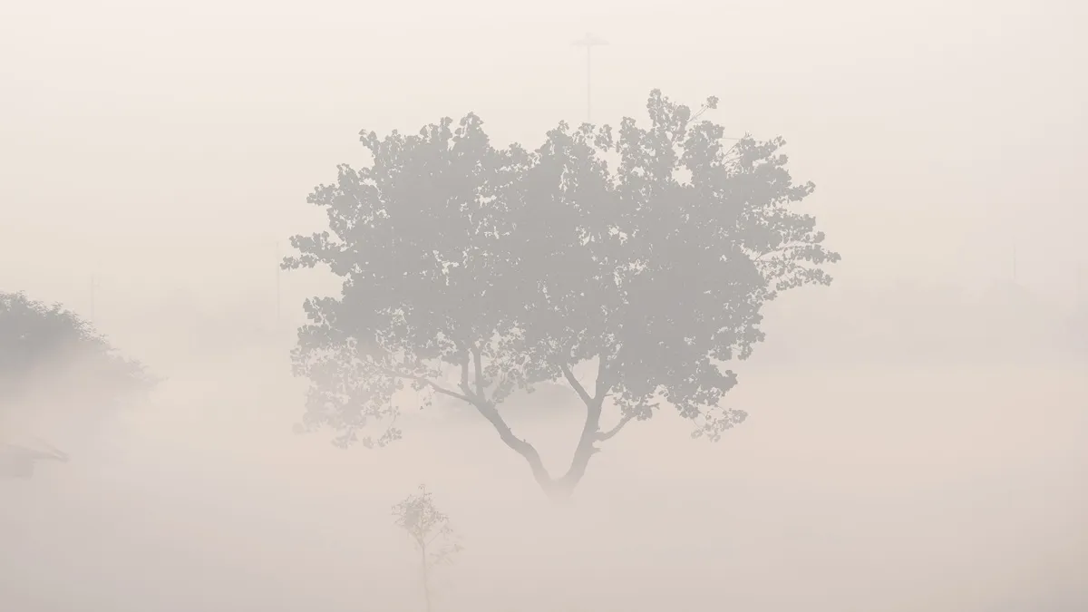 म्यूजिक सिस्टम बंद रखें, गाड़ी धीरे चलाएं; कोहरे में ड्राइविंग को लेकर एडवाइजरी जारी