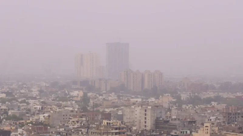 8 राज्यों में बेहद घने कोहरे की चेतावनी, यूपी के 9 जिलों में रेड अलर्ट, जानें अपने इलाके में मौसम का हाल