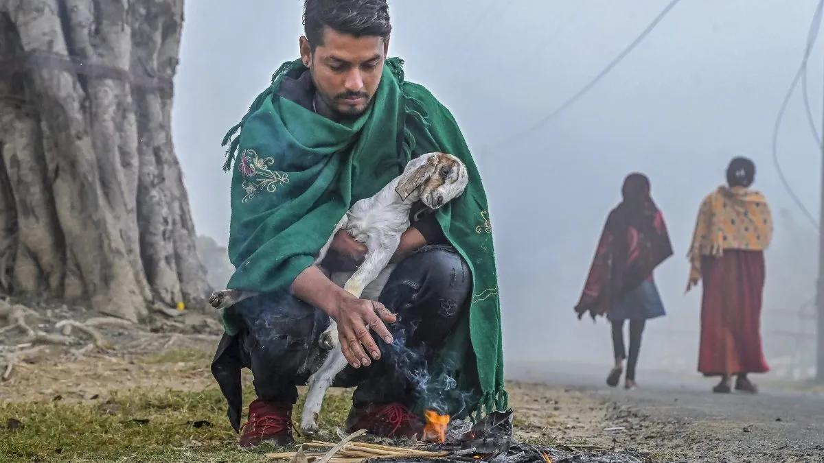 दिल्ली समेत 10 राज्यों में कड़ाके की ठंड का अलर्ट, इन इलाकों में पड़ेगा घना कोहरा, यहां पर होगी भारी बारिश