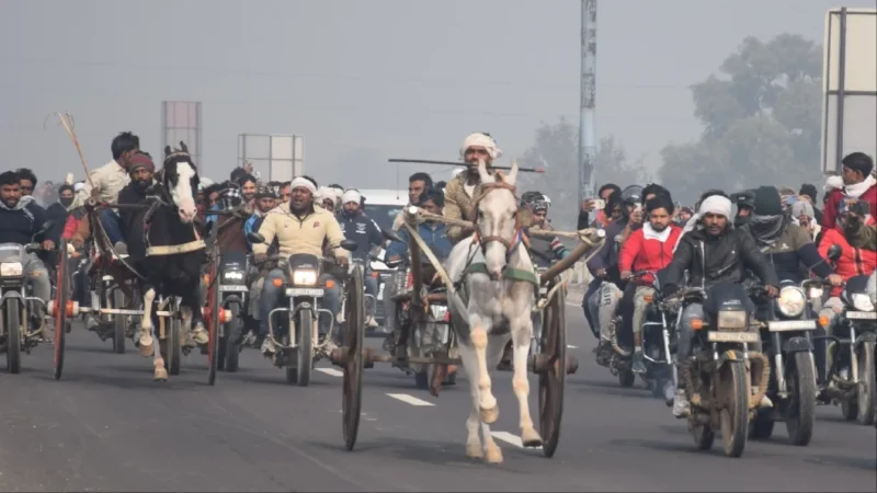 दिल्ली-देहरादून हाईवे पर घोड़ा-बुग्गी की रेस, मेरठ के घोड़े को मिला 51 हजार रुपये का इनाम