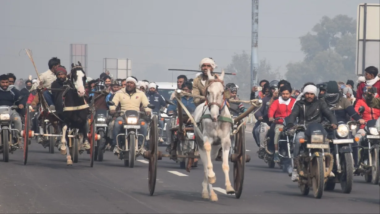 दिल्ली-देहरादून हाईवे पर घोड़ा-बुग्गी की रेस, मेरठ के घोड़े को मिला 51 हजार रुपये का इनाम