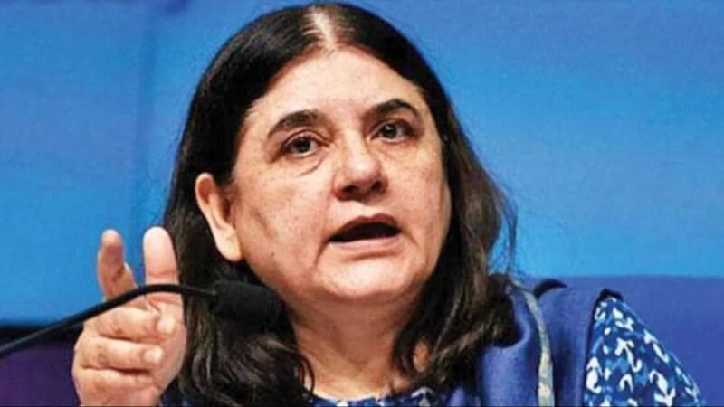 ‘जो लोग पटाखे जलाते हैं वे देशद्रोही’, BJP नेता मेनका गांधी ने दीवाली और दशहरे का भी किया जिक्र