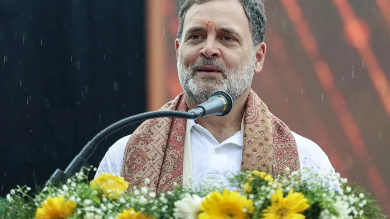 ‘सत्ता का केंद्रीकरण कर रहे बीजेपी और RSS’, राहुल गांधी ने साधा निशाना, जानिए और क्या बोले?