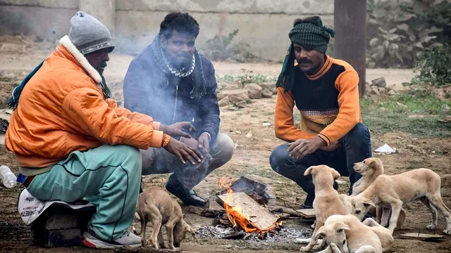 उत्तर भारत पर ‘वेस्टर्न डिस्टर्बेंस’ का डबल अटैक: पहाड़ों में बर्फबारी का अलर्ट, दिल्ली-यूपी समेत मैदानों में बारिश से बढ़ेगी ठिठुरन