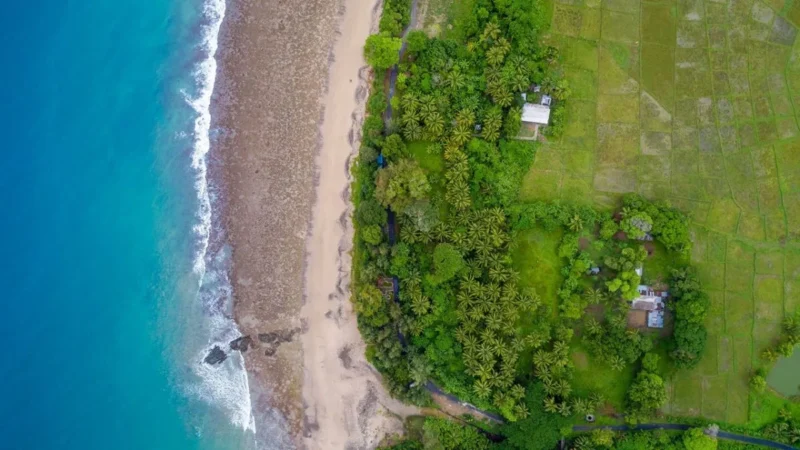 ₹81,000 करोड़ के ग्रेट निकोबार प्रोजेक्ट को NGT से मिली मंजूरी, जानें भारत के लिए इतना जरूरी क्यों है ये प्रोजेक्ट- सरकार बनाएगी एयरपोर्ट, पोर्ट, पावर प्लांट