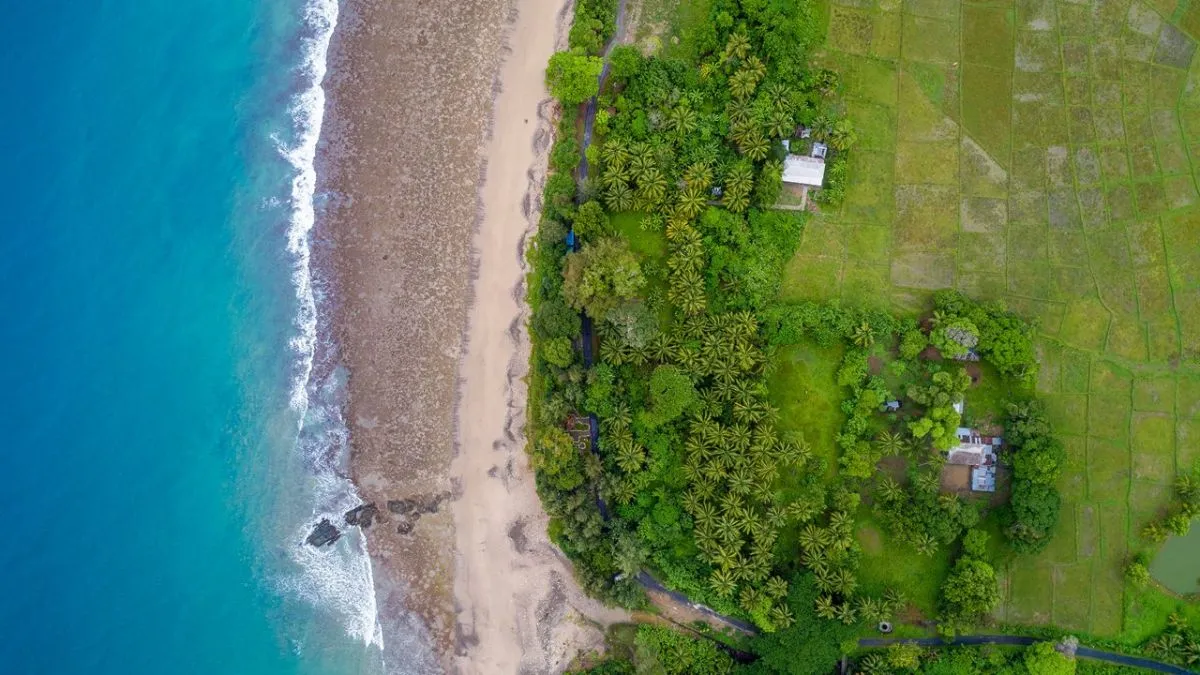 ₹81,000 करोड़ के ग्रेट निकोबार प्रोजेक्ट को NGT से मिली मंजूरी, जानें भारत के लिए इतना जरूरी क्यों है ये प्रोजेक्ट- सरकार बनाएगी एयरपोर्ट, पोर्ट, पावर प्लांट