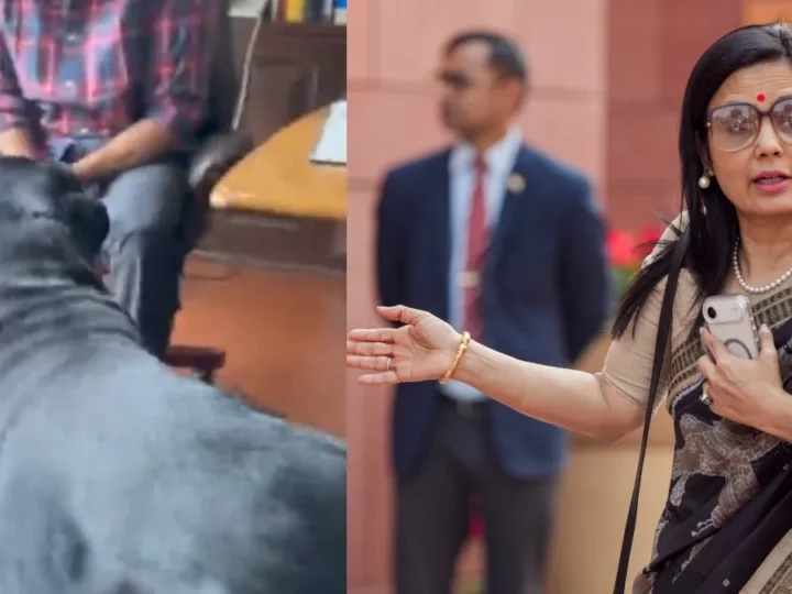 TMC सांसद महुआ मोइत्रा पहुंची दिल्ली हाई कोर्ट, कुत्ते हेनरी की मांगी कस्टडी; कौन है असली मालिक?