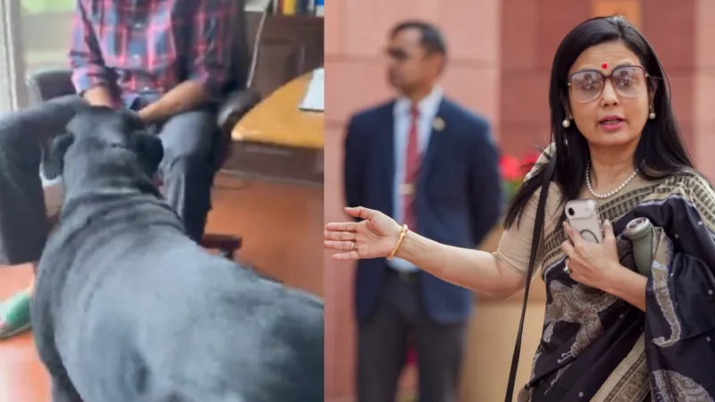 TMC सांसद महुआ मोइत्रा पहुंची दिल्ली हाई कोर्ट, कुत्ते हेनरी की मांगी कस्टडी; कौन है असली मालिक?