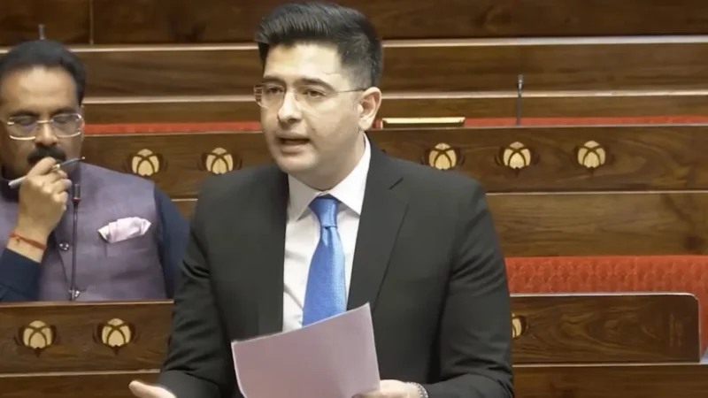 ‘महंगाई के हिसाब से बढ़ाई जाए लोगों की तनख्वाह’, राघव चड्ढा ने संसद में की कानून बनाने की मांग