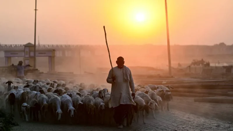 दिल्ली समेत कई राज्यों में 3-5°C तक बढ़ेगा तापमान, फरवरी में मार्च जैसी गर्मी, महाराष्ट्र-तमिलनाडु में 36.6°C तक पहुंचा पारा