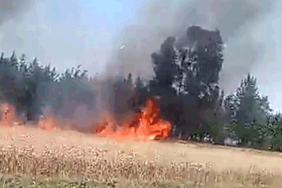 जर्जर बिजली तार और ट्रांसफार्मर से लगी भीषण आग, 10 बीघा फसल जलकर खाक, लाखों का नुकसान