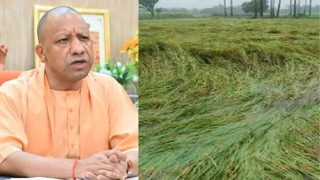 सीएम योगी आदित्यनाथ ने बेमौसम बारिश से खराब फसल का लिया संज्ञान, किसानों को मिलेगा उचित मुआवजा