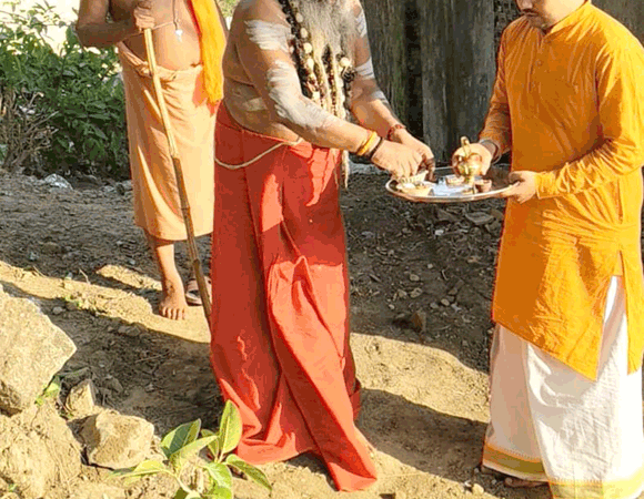 शाकम्भरी देवी आश्रम के शंकराचार्य ने किया पौधारोपण
