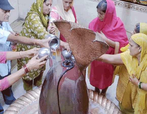 सर्प प्रकृति व जीवों का करते है संरक्षण: स्वामी कालेन्द्रांनद