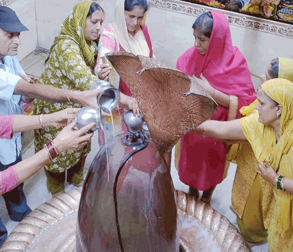 सर्प प्रकृति व जीवों का करते है संरक्षण: स्वामी कालेन्द्रांनद
