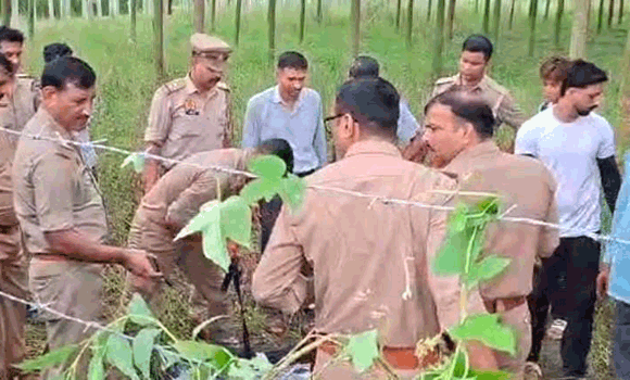 लोकी के खेत में फांसी के फंदे पर लटका मिला युवक का शव
