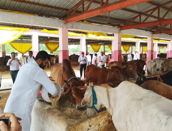 गौसेवा साक्षात ईश्वर सेवा है, गौसेवा प्रत्येक हिंदु का कर्तव्य है- अनिल सैनी