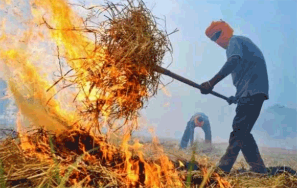सहारनपुर में पराली जलाने पर प्रशासन सख्त, लगेगा पांच हजार रुपये तक जुर्माना